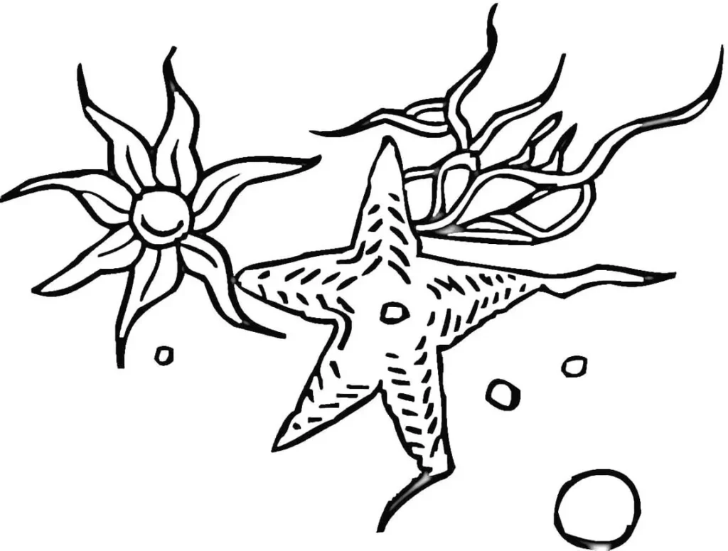 Desenhos de Estrelas do Mar com padrões e elementos marinhos para colorir