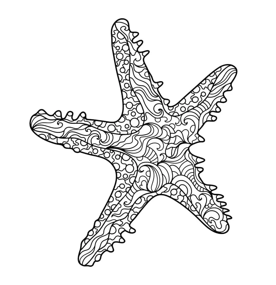 Estrela do mar com grafismos de mandala para colorir.