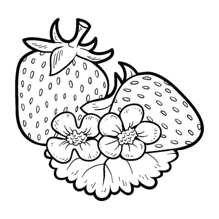 Desenhos de Morangos para pintar Lindo Morangos com flores para colorir: desenho adorável e suculento.