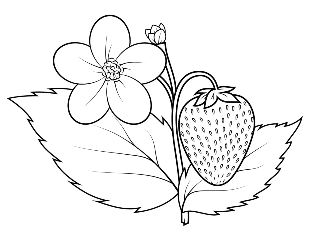 Desenhos de Morangos para pintar Na Flor Morangos na flor: desenho para colorir com morango maduro, folhas e flor desabrochando.