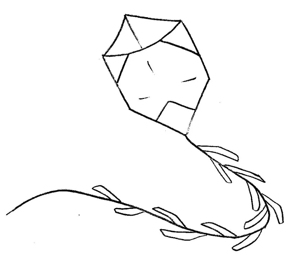 Desenhos de Pipas para pintar Voando Pipa estilizada com design geométrico e elementos orgânicos para colorir.