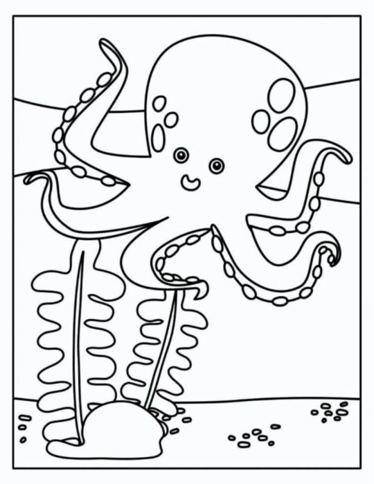 Polvo sorrindo em meio a corais e algas marinhas: desenho para colorir e atividades criativas.