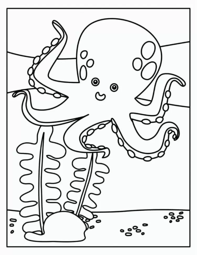 Polvo sorrindo em meio a corais e algas marinhas: desenho para colorir e atividades criativas.