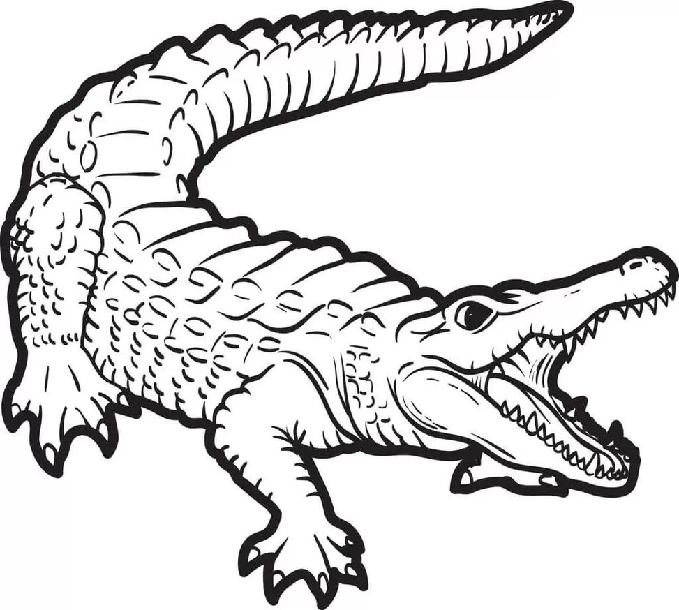 Desenhos de Jacarés para colorir Crocodilo Jacaré Crocodilo para colorir: desenho com boca aberta e dentes à mostra.