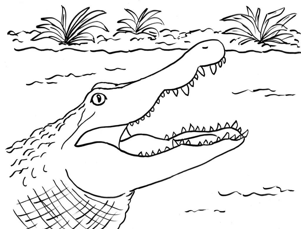 Desenhos de Jacarés para colorir Perigoso Jacaré perigoso com boca aberta e dentes afiados pronto para colorir.
