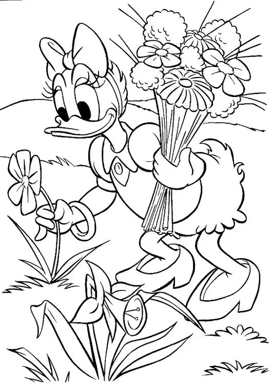 Margarida Disney colhendo flores no campo: desenho para colorir