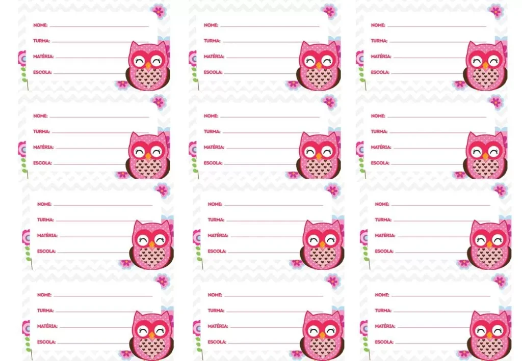 Etiquetas escolares temáticas de coruja rosa para identificação de material escolar. Campos para NOME, TURMA, MATÉRIA e ESCOLA.