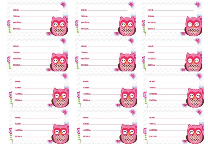 Etiquetas escolares temáticas de coruja rosa para identificação de material escolar. Campos para NOME, TURMA, MATÉRIA e ESCOLA.