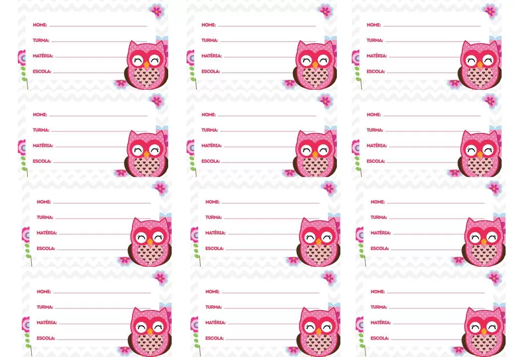 Etiquetas escolares temáticas de coruja rosa para identificação de material escolar. Campos para NOME, TURMA, MATÉRIA e ESCOLA.