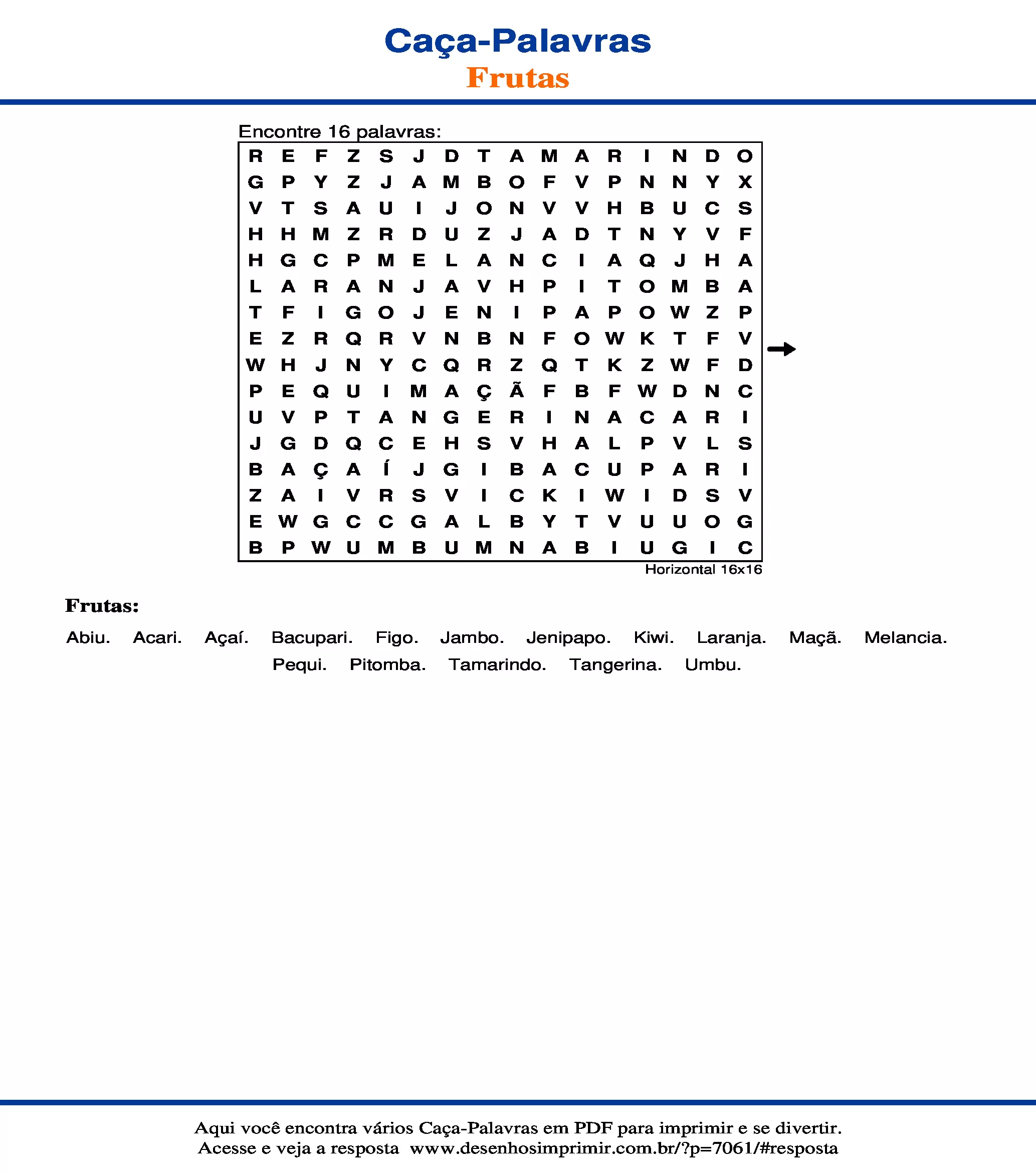 Caça Palavras Horizontal 16x16