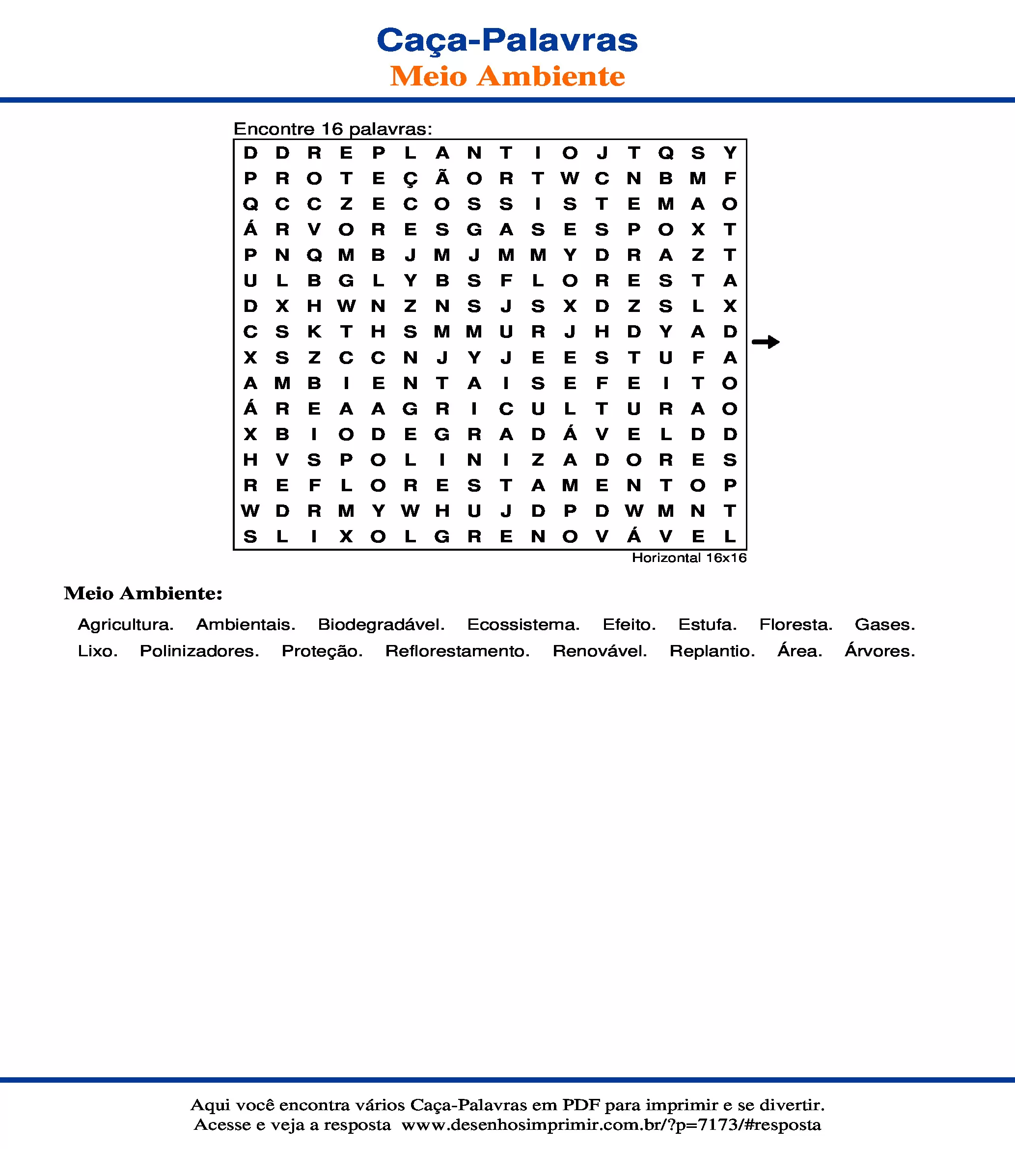Caça Palavras Horizontal 16x16