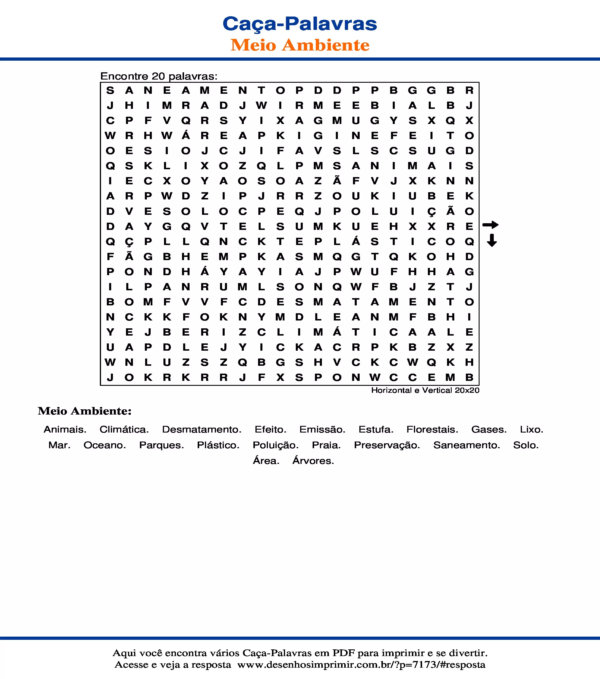 Caça Palavras Horizontal e Vertical 20x20