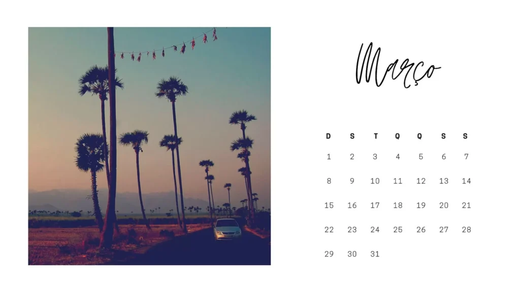 Calendário de Março 2023 com Feriados: paisagem tropical com palmeiras e carro na estrada ao pôr do sol.