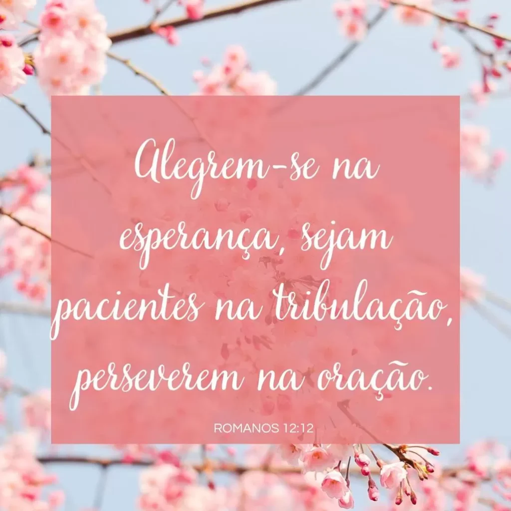 Mensagem bíblica de esperança com flores de cerejeira rosa e versículo de Romanos 12:12
