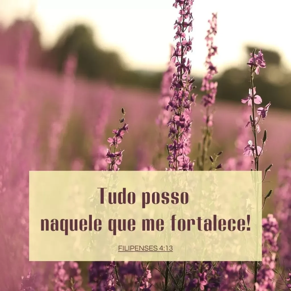 Campo florido com mensagem bíblica: 'Tudo posso naquele que me fortalece! Filipenses 4:13'.