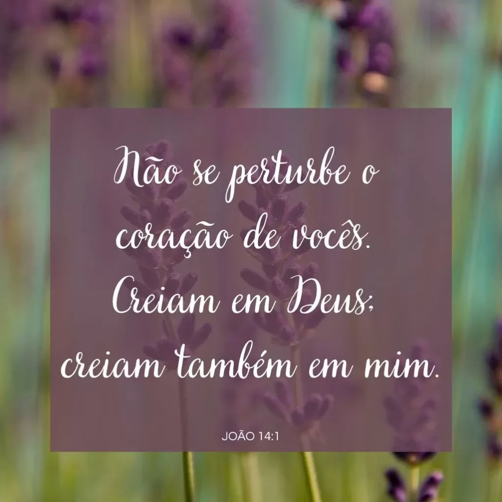 Mensagem bíblica motivacional com flores de lavanda: 'Não se perturbe o coração de vocês. Creiam em Deus, creiam também em mim.' (João 14:1). Fortalecimento espiritual e conforto.