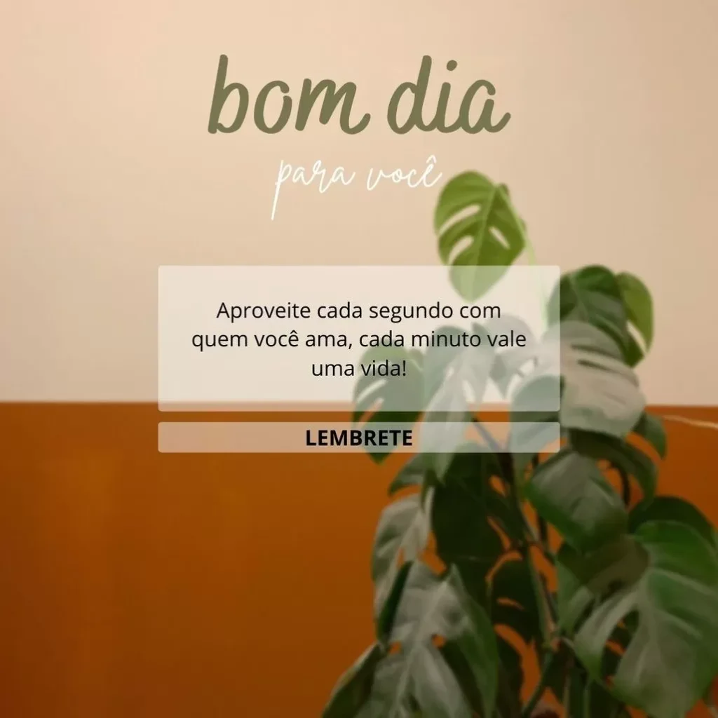 Mensagem inspiradora de bom dia com frase sobre aproveitar a vida e amor ao lado de uma planta Monstera.
