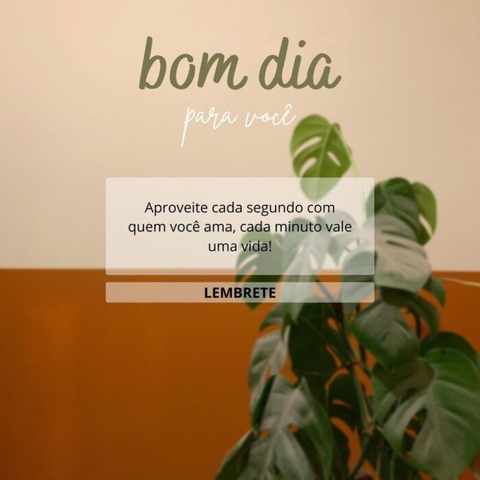 Mensagem inspiradora de bom dia com frase sobre aproveitar a vida e amor ao lado de uma planta Monstera.