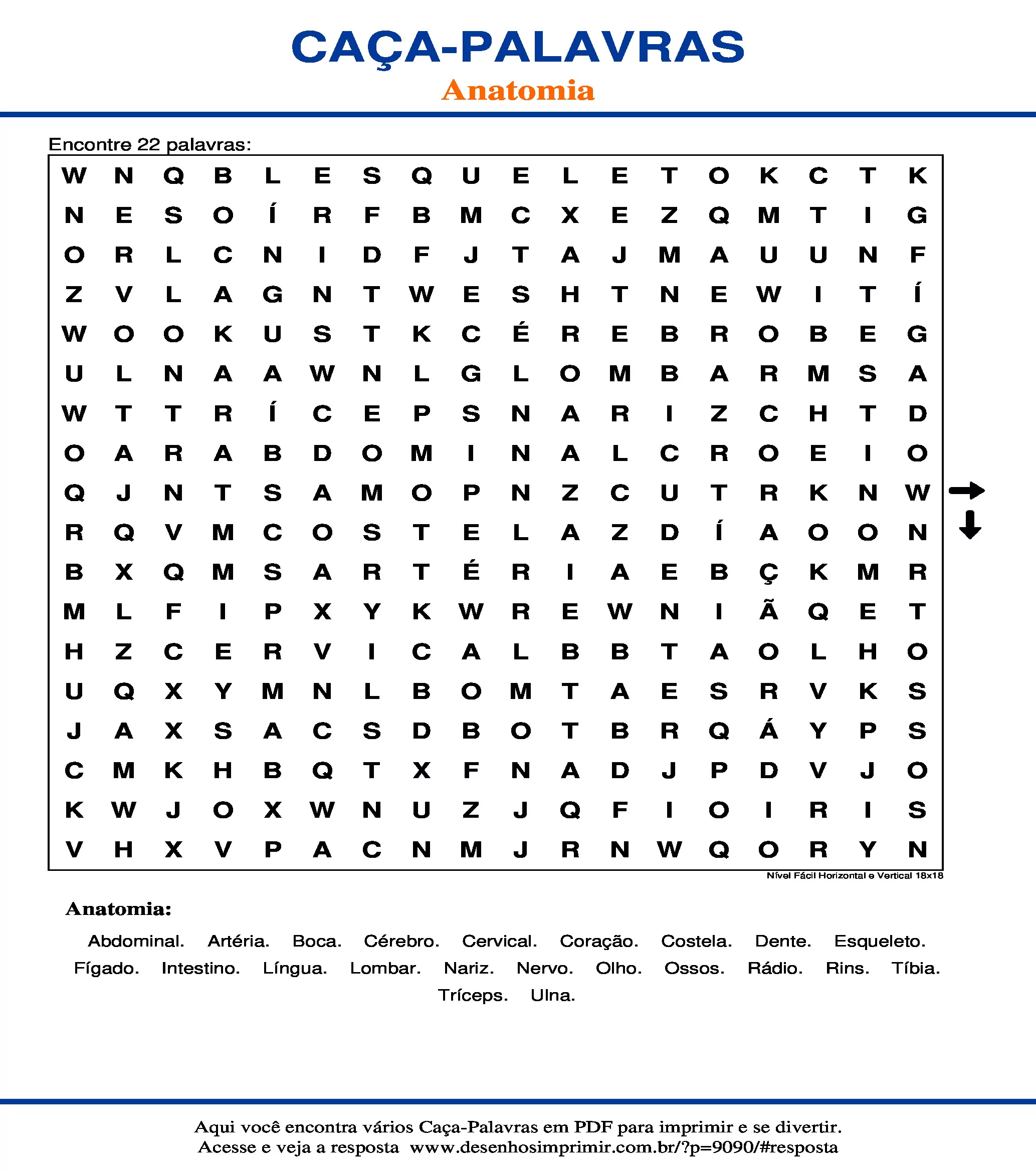 Caça Palavras Nível Fácil Horizontal e Vertical 18x18