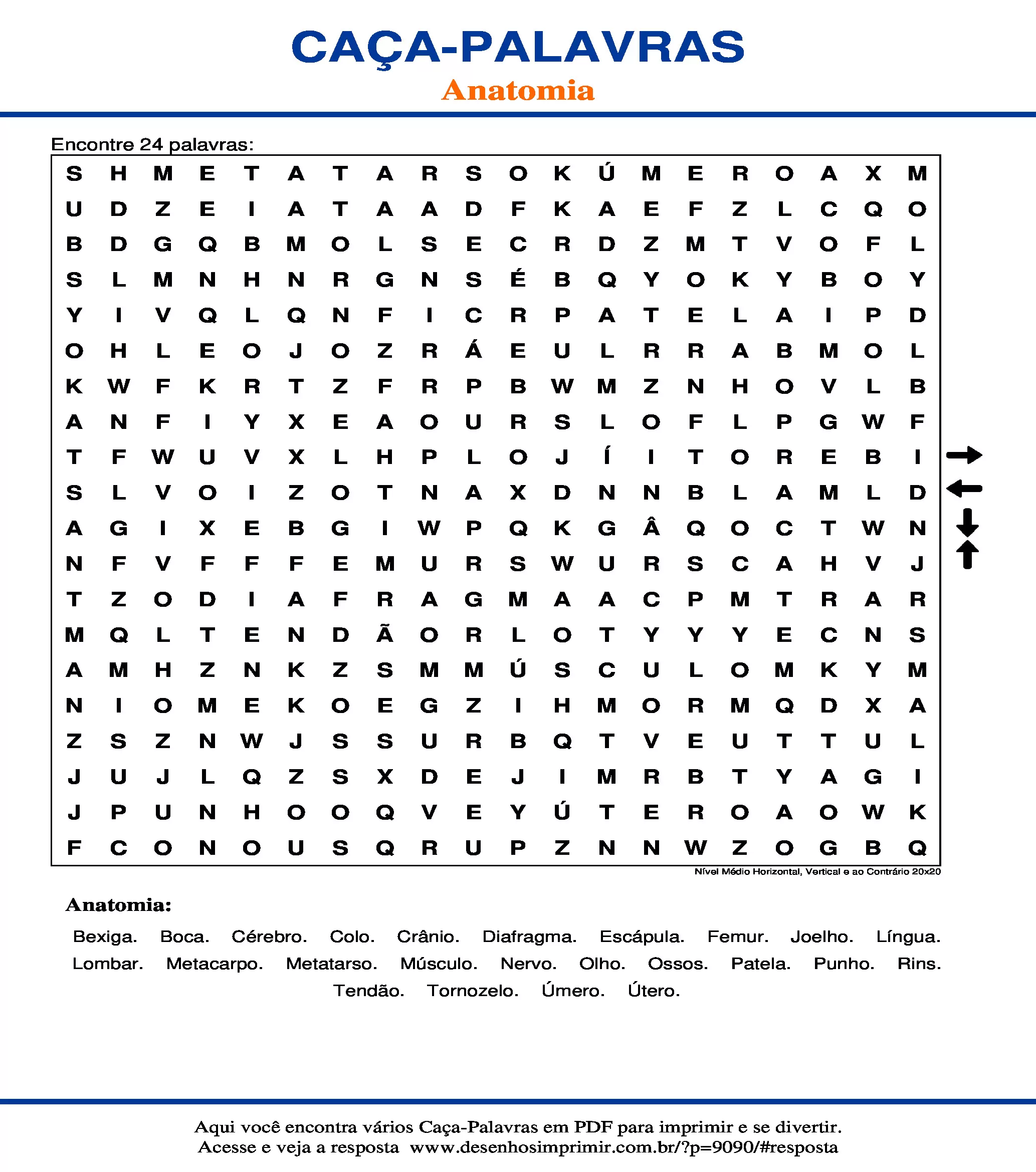 Caça Palavras Nível Médio Horizontal, Vertical e ao Contrário 20x20