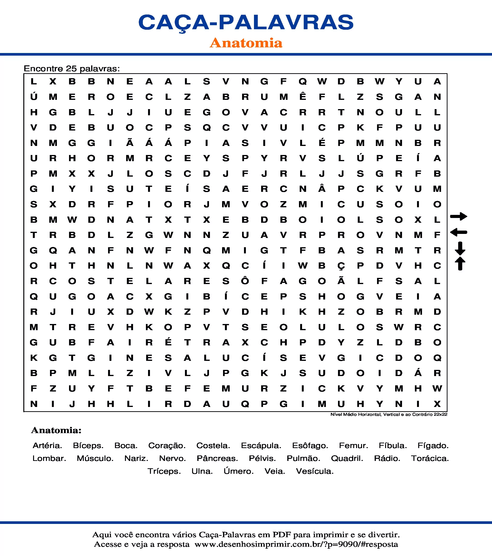 Caça Palavras Nível Médio Horizontal, Vertical e ao Contrário 22x22