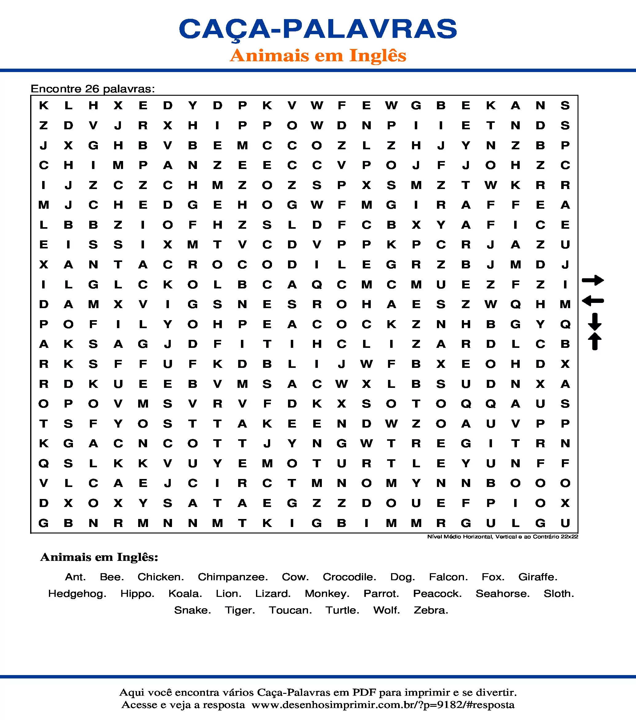 Caça Palavras Nível Médio Horizontal, Vertical e ao Contrário 22x22