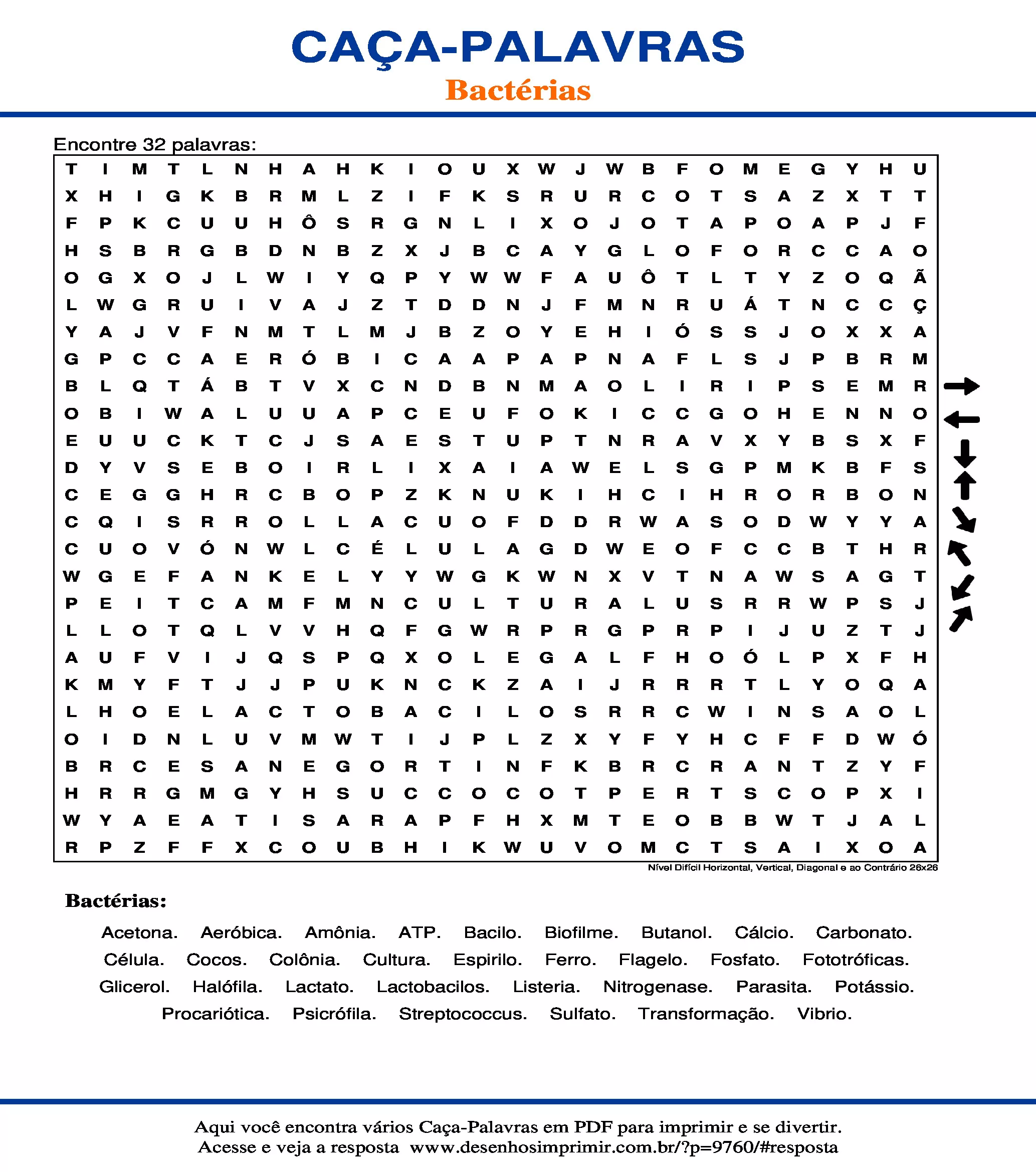 Caça Palavras Nível Difícil Horizontal, Vertical, Diagonal e ao Contrário 26x26