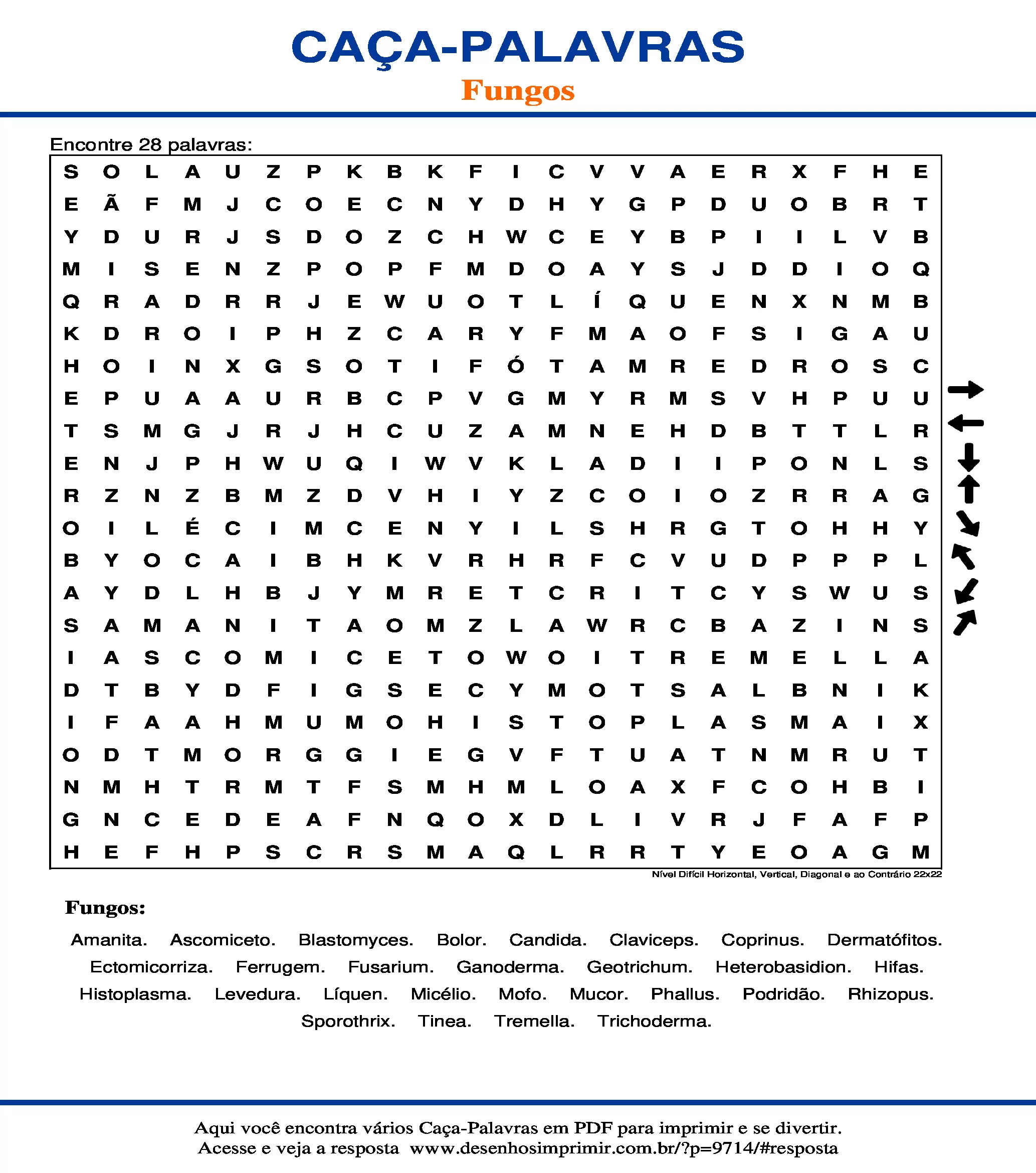 Caça Palavras Nível Difícil Horizontal, Vertical, Diagonal e ao Contrário 22x22