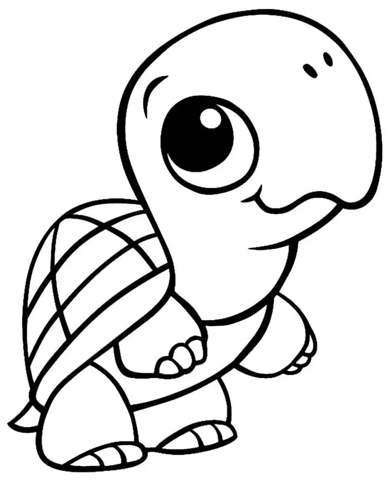 Tartaruga bebê para colorir: desenho divertido de réptil com casco quadriculado e sorriso amigável, ideal para crianças.
